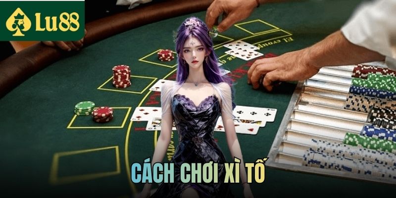 Cách Chơi Xì Tố Chi Tiết Cho Người Mới Tham Gia Tại LU88